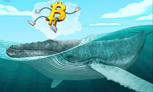 Ví cá voi Bitcoin 'thời đại Satoshi' thức giấc