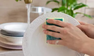 Những hạn chế của máy rửa bát